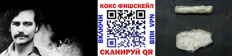 COCAIN FishScale  Купить закладки  Инта 