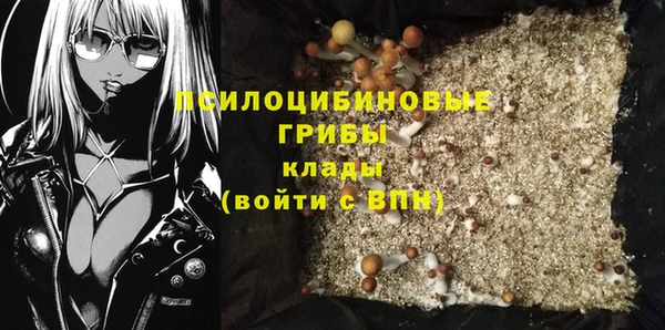 PSILOCYBIN Рославль