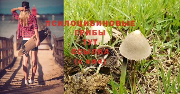 винт Россошь